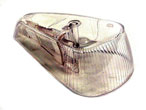 Turn Signal Lens for Type 1, 70-79, Clear, Right