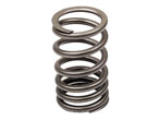 Valve Spring, Stock Replacement