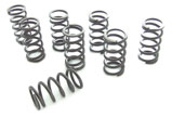 Valve Springs, Single, High-Rev