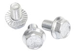 Cam Gear Bolts
